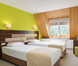 Стандарт Двухместный